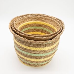 Set of three natural seagrass and straw baskets in yellow and green hues.