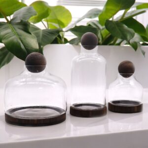 Medium ball top terrarium on dark tung wood base with spherical lid.