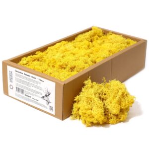 Vibrant yellow decorative reindeer moss for crafts and home decor.