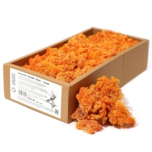Vibrant orange decorative reindeer moss for autumn crafts and decor