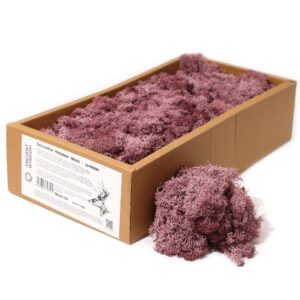 Delicate lavender decorative reindeer moss for serene home decor.