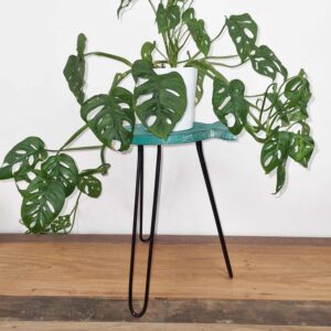 Turquoise Albasia wood fish stand, perfect for home decor and gifting.
