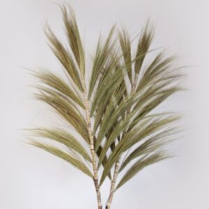 Natural Rayung Grass bundle for home fragrance and mindful living.