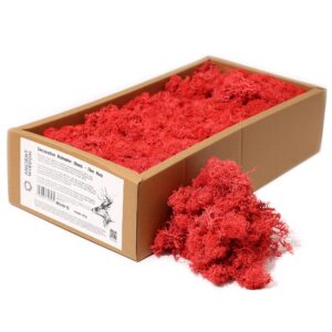 Vibrant fire red decorative reindeer moss for home decor and crafts.