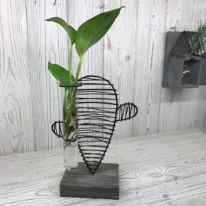 Stylish hydroponic pot with cactus in a modern lab-style design.