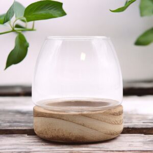 Mini terrarium with natural tung wood base and clear glass for creative displays.