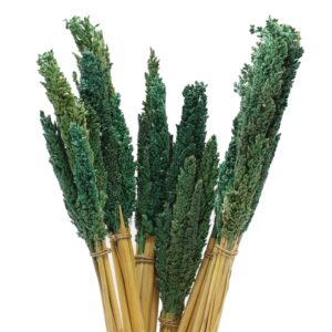 Teal cantal grass bunch, perfect for home decor and aromatherapy.