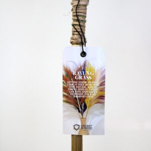 Natural Rayung Grass display in vibrant colours for home decor.