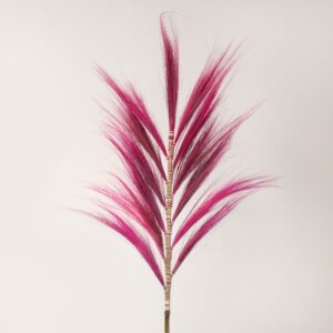 Dried Rayung Grass in vibrant colours, perfect for home decoration.
