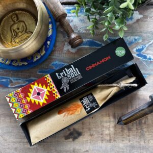 Cinnamon incense sticks from Soul Inspirations in a decorative packaging.