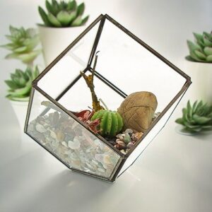 Stylish glass terrarium cube with brass frame for home decor.