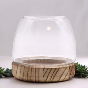 Small terrarium on natural tung wood base with low-maintenance plants.