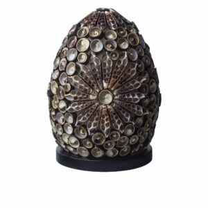 Handcrafted Boho Sea Shell Lamp with chocolate twist design and warm glow.