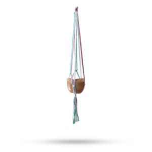 Macrame pot holder in pastel tones, perfect for indoor plants.