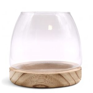 Medium terrarium on natural tung wood with low-maintenance plants.