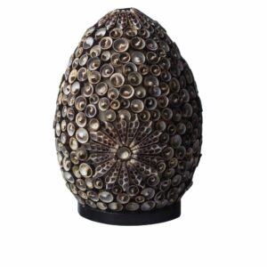 Handcrafted Boho Sea Shell Lamp with chocolate twist design and warm glow.