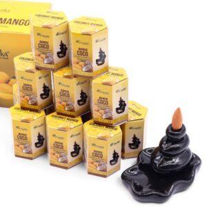 Hexagon box containing 10 backflow incense cones with coconut and mango scent.
