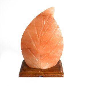 Unique fern-shaped Himalayan salt lamp glowing softly in a serene setting.