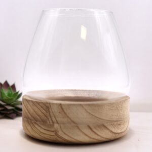 Large terrarium on natural tung wood, perfect for creating miniature landscapes.