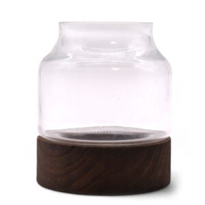 Small shaped terrarium on a dark tung wood base with lush greenery inside.
