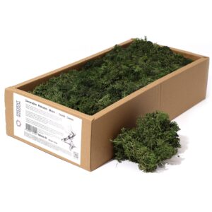 Vibrant grass green decorative reindeer moss for crafting and home decor.