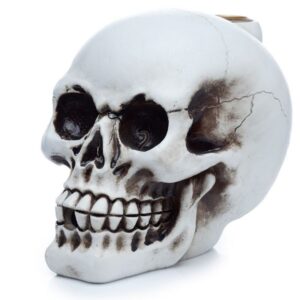 Elegant skull-shaped backflow incense burner with cascading smoke effect.
