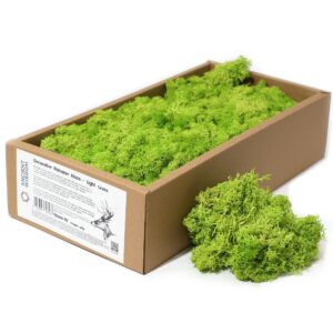 Soft light grass green decorative reindeer moss for crafting and home decor.