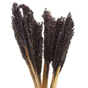 Vibrant Cantal Grass Bunch in natural hues for floral decoration and crafts.