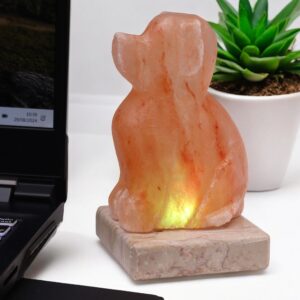 Multicolour Himalayan Salt lamp with USB connector and light fitting.