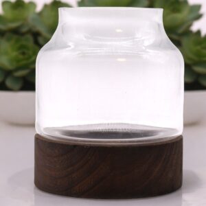 Medium shaped terrarium on dark tung wood base with lush greenery inside.
