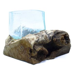 Hand-blown glass tank on rustic Gamal root wood base, showcasing unique artistry.