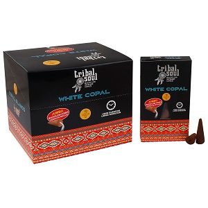 Tribal Soul Backflow Incense Cones in a decorative packaging with white copal scent.
