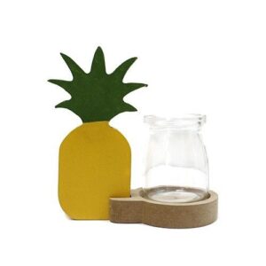 Stylish hydroponic pineapple pot for indoor plants and home decor.
