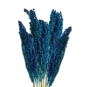 A beautiful bunch of blue cantal grass, perfect for home decor and gifting.