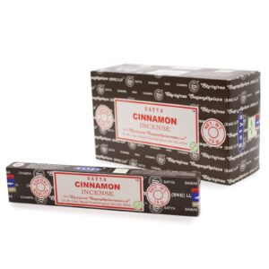 Cinnamon Satya incense sticks in recyclable packaging for a calming atmosphere.