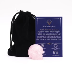 Rose Quartz Small Skull, a captivating gemstone piece for home decor.