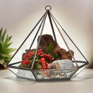 Large diamond-shaped glass terrarium with brass frame for succulents and decor.