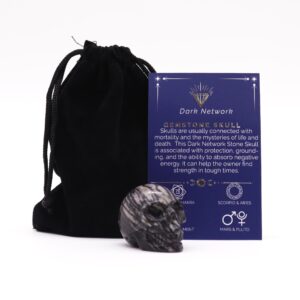 Small dark network stone skull, perfect for home decor and mindful living.