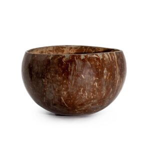 Hand-polished small coconut bowl showcasing natural texture and colour.