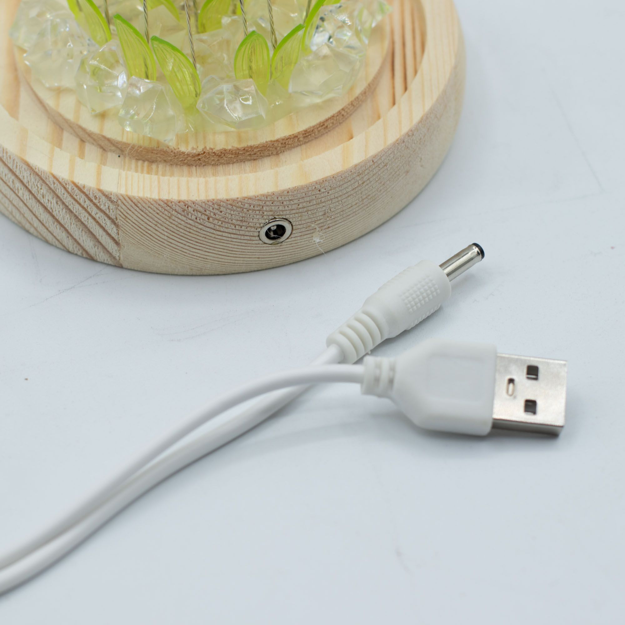 Floral Glow Garden Dome - 20 Sunflower - LED USB 2 LED garden dome featuring sunflowers under a clear glass cover.