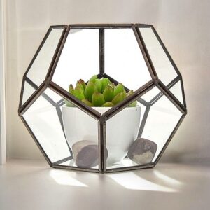 Large octagon glass terrarium with brass frame for succulents and decor.