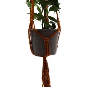 Chocolate macrame pot holder designed for medium-sized plants.